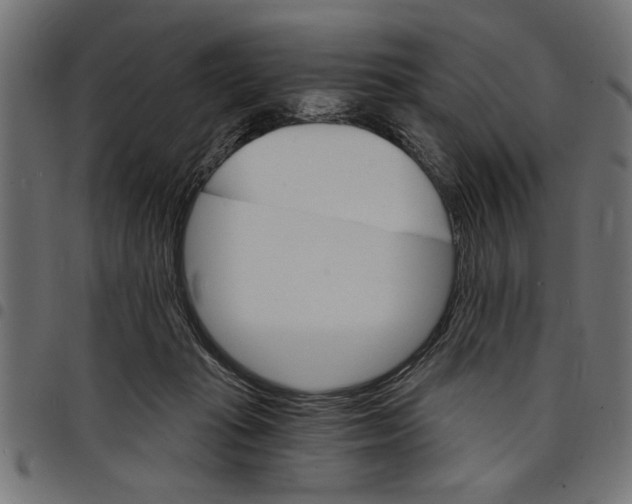 X0000097670269200803281019