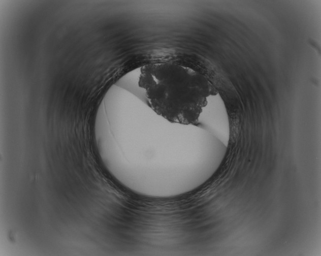 X0000097670270200803281019