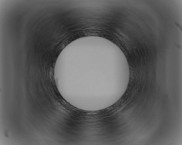 X0000097670271200803281019