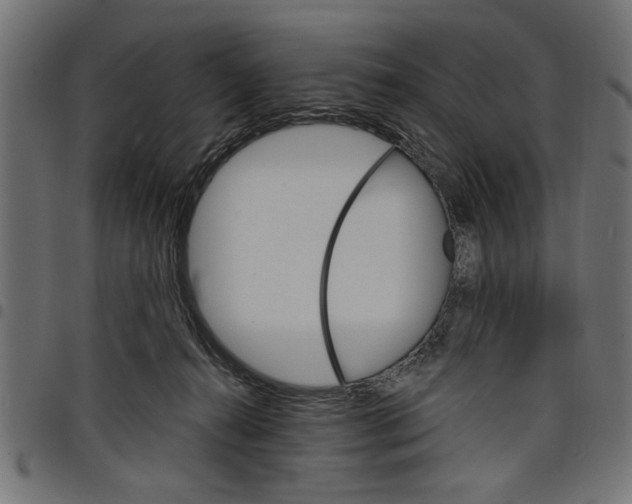 X0000097670272200803281019