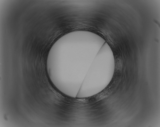 X0000097670273200803281019