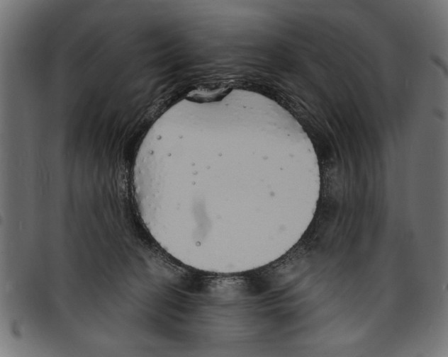 X0000097670274200803281019