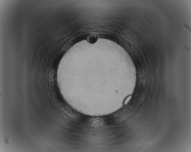 X0000097670275200803281019