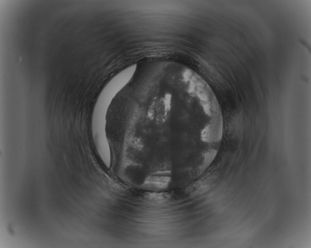 X0000097670277200803281019