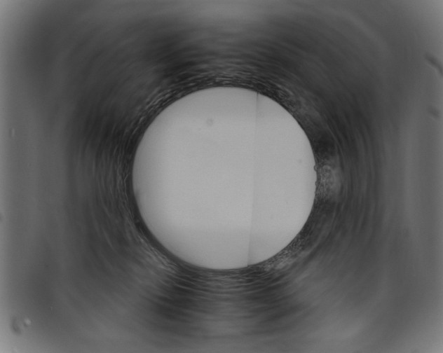 X0000097670278200803281019