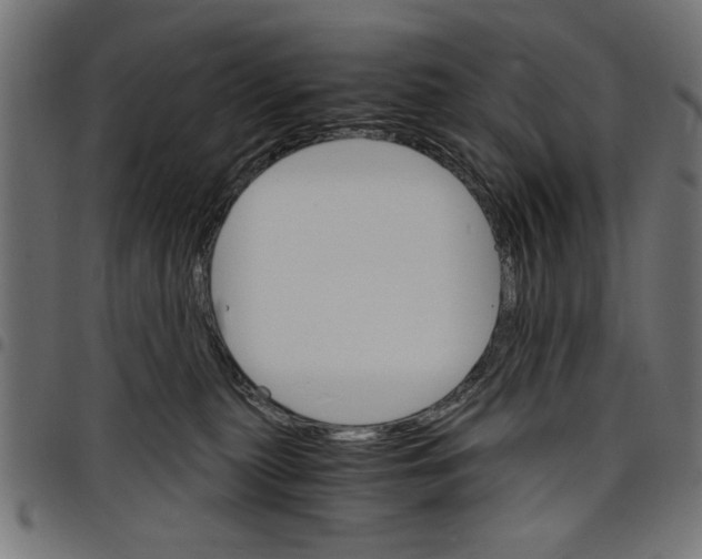 X0000097670279200803281019