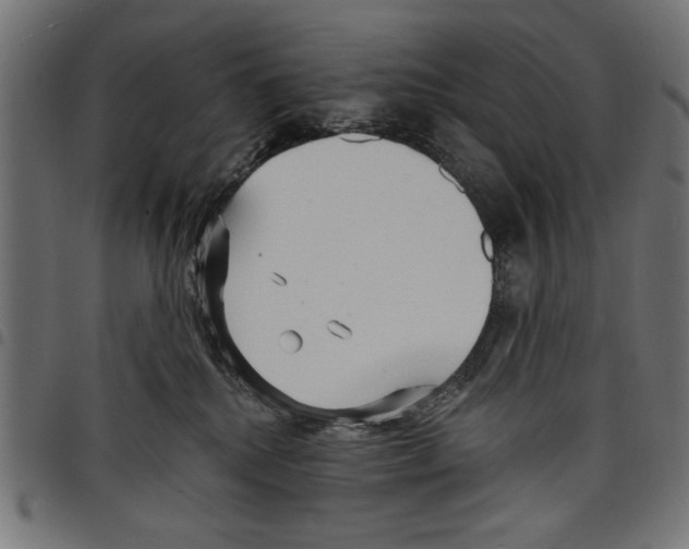 X0000097670280200803281019