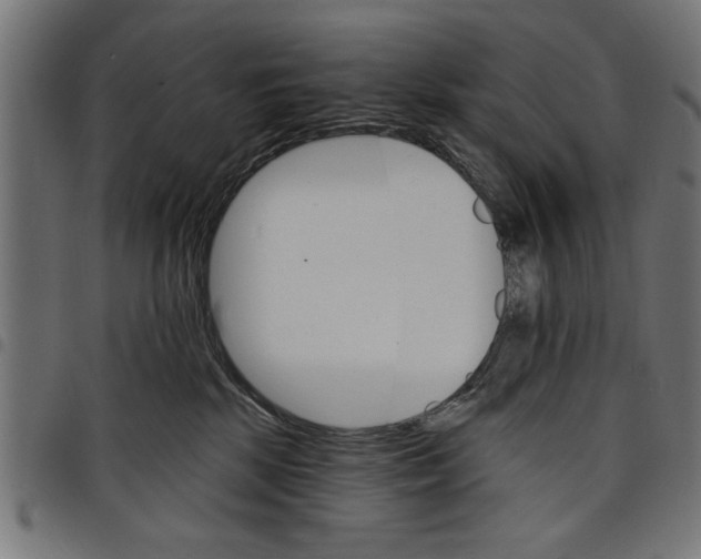 X0000097670281200803281019