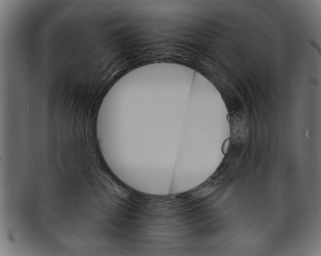 X0000097670282200803281019