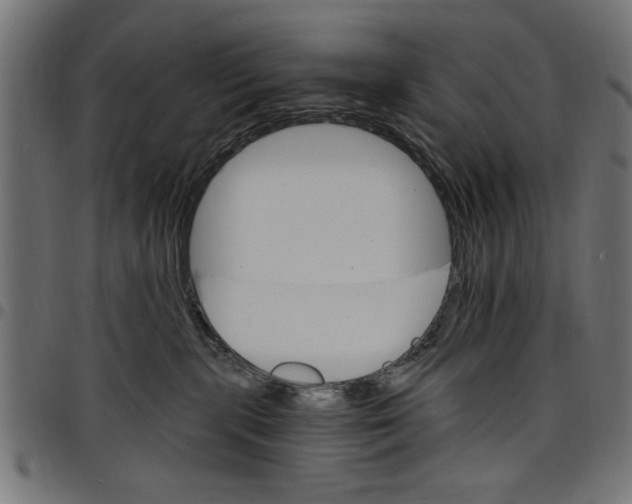 X0000097670283200803281019