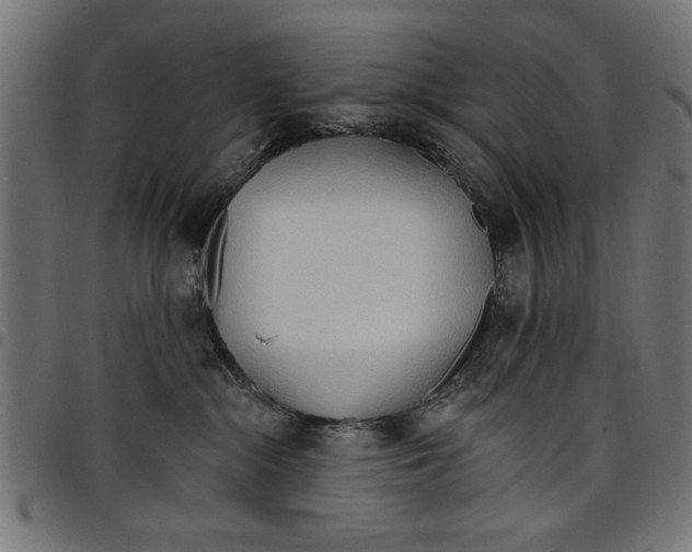 X0000097670284200803281019