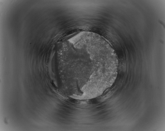 X0000097670285200803281019