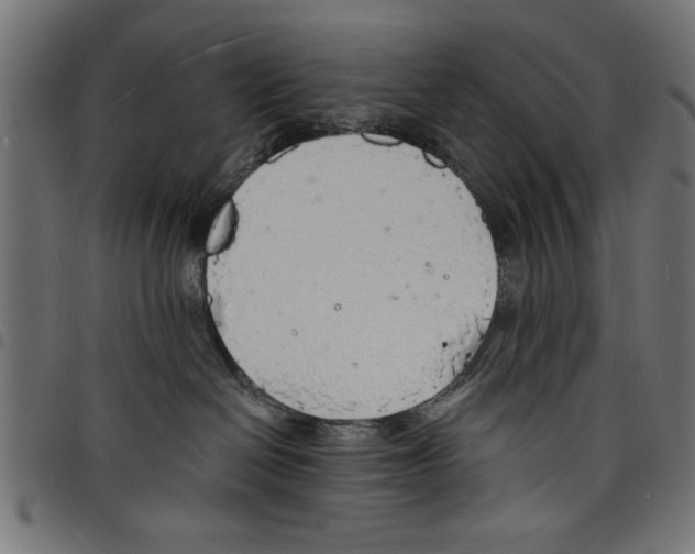 X0000097670286200803281019
