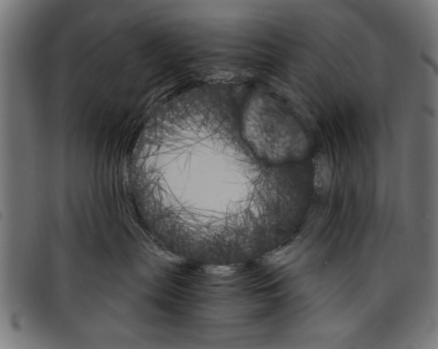X0000097670287200803281019