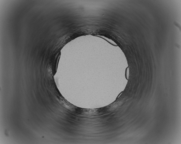 X0000097670288200803281019