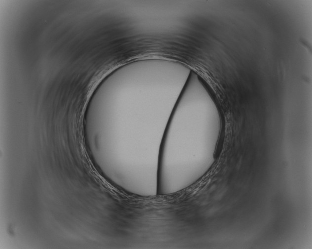 X0000097670289200803281019