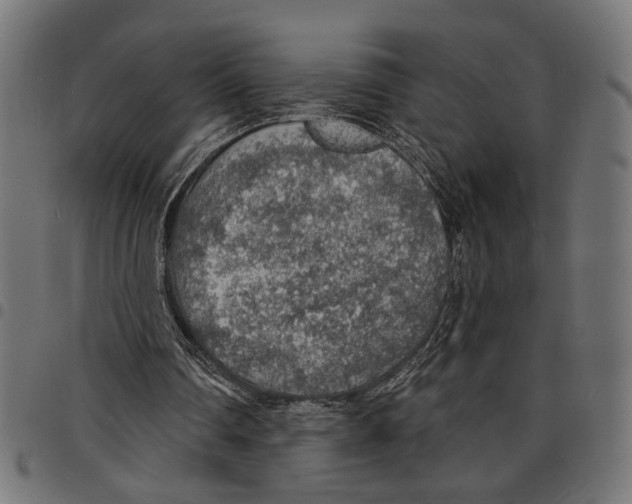 X0000097670290200803281018