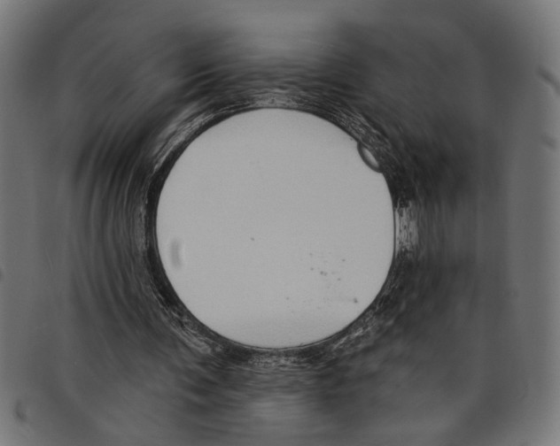 X0000097670291200803281018