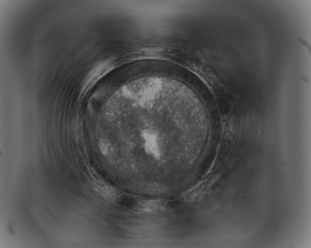 X0000097670293200803281018