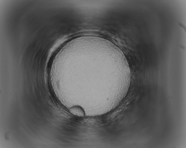 X0000097670294200803281018