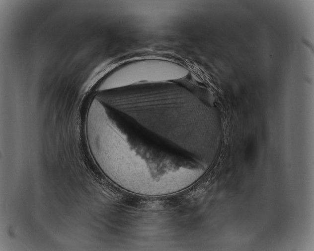 X0000097670295200803281018