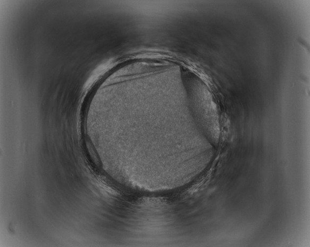 X0000097670296200803281018