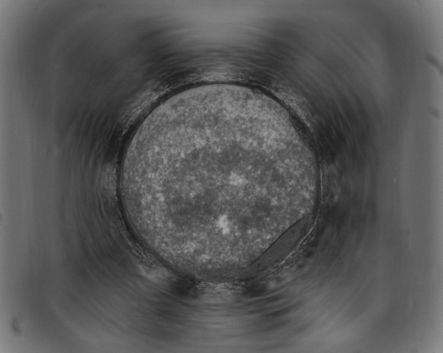 X0000097670297200803281018