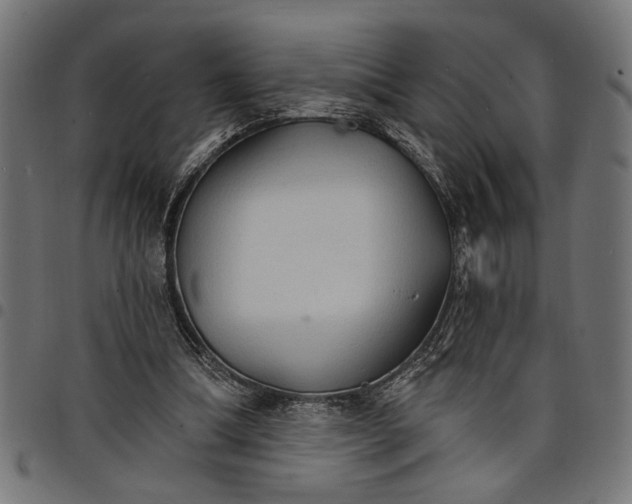 X0000097670298200803281018