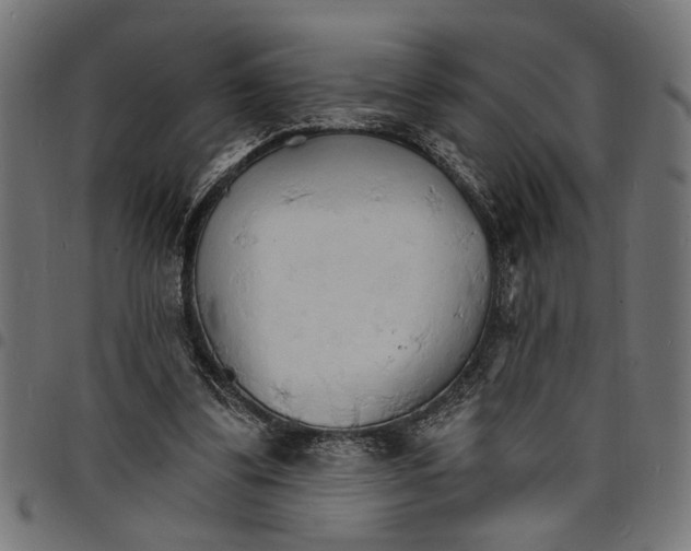 X0000097670299200803281018