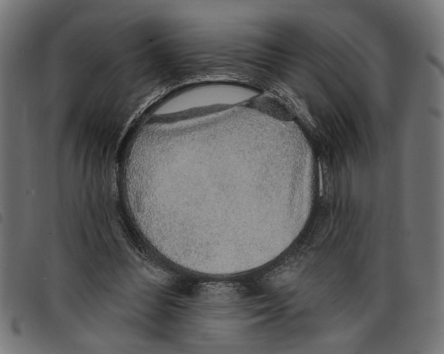 X0000097670300200803281018