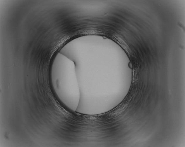 X0000097670301200803281018
