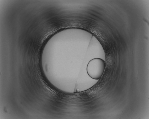 X0000097670303200803281018