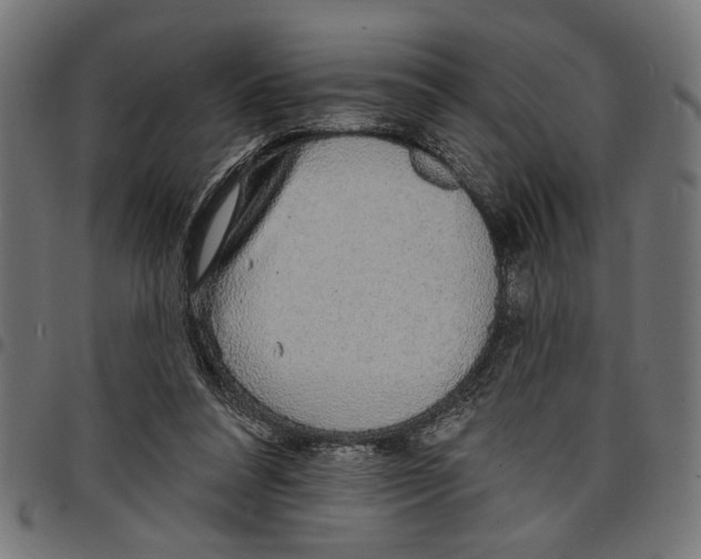 X0000097670304200803281018