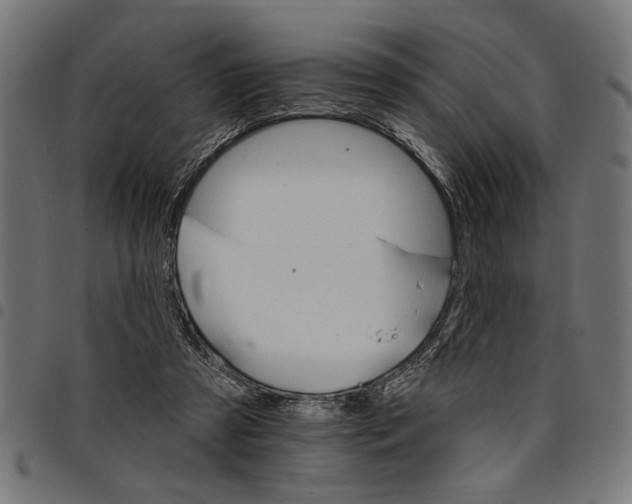 X0000097670305200803281018