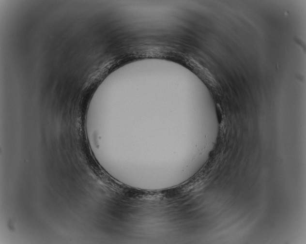 X0000097670306200803281018