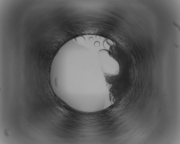 X0000097670307200803281018