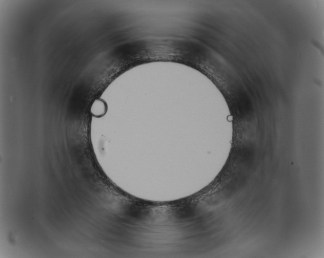 X0000097670309200803281018