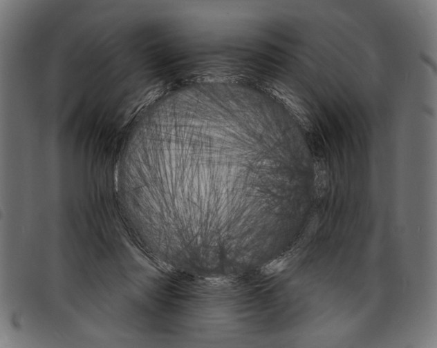 X0000097670310200803281018