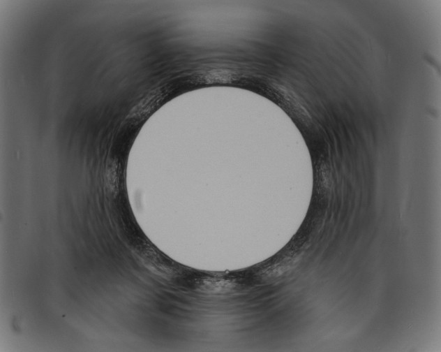 X0000097670311200803281018