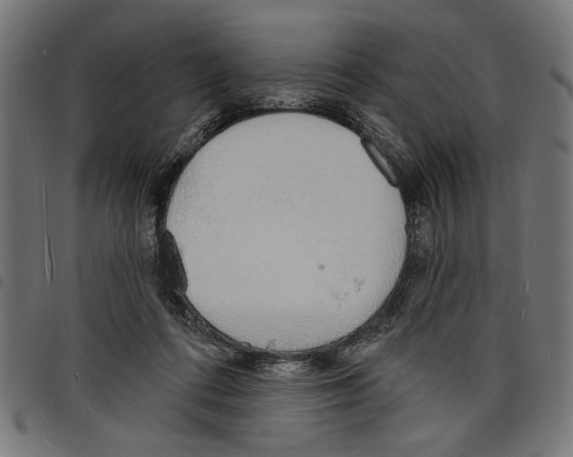 X0000097670312200803281018