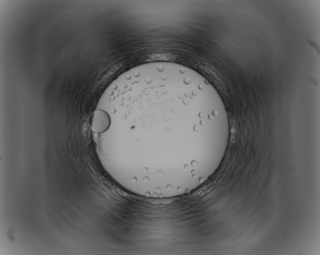 X0000097670314200803281018