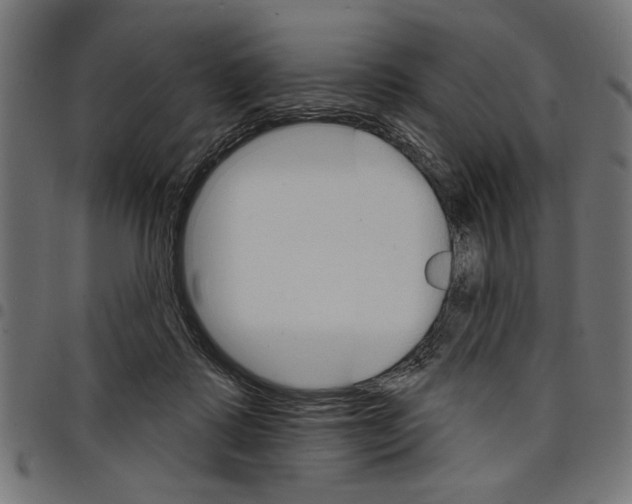 X0000097670315200803281018