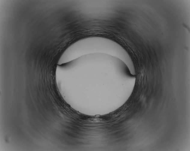X0000097670316200803281018