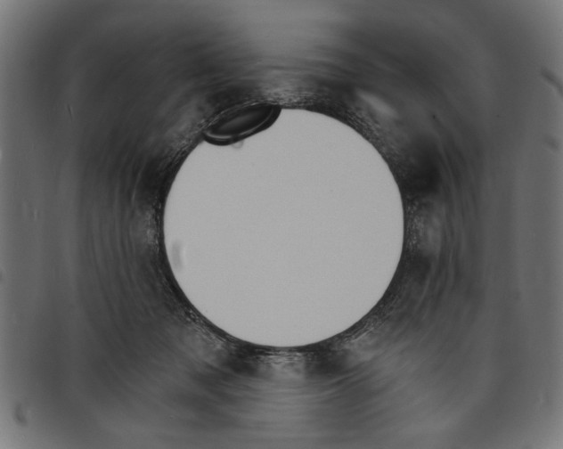 X0000097670317200803281018