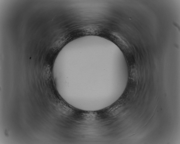 X0000097670318200803281018