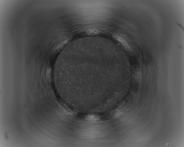 X0000097670319200803281018