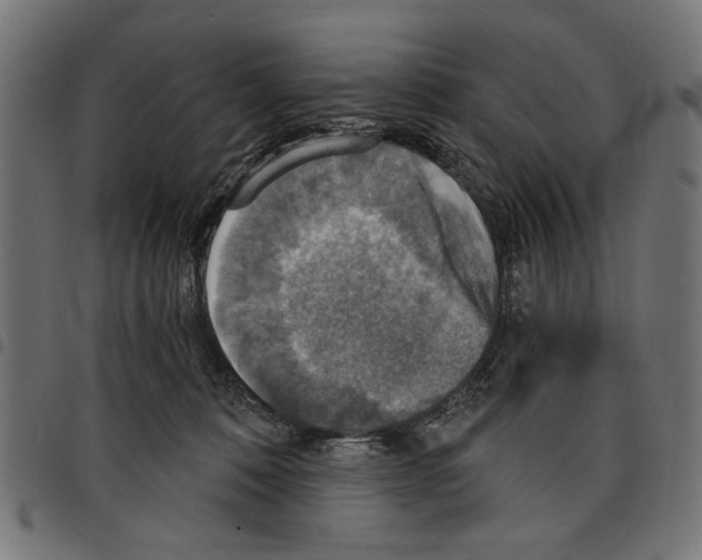 X0000097670320200803281018