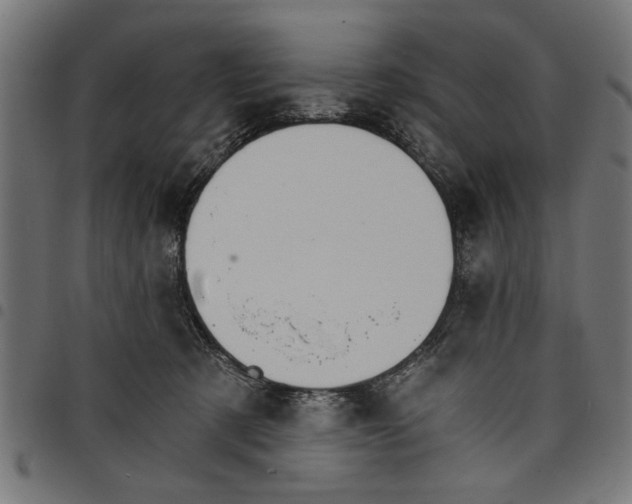 X0000097670321200803281018