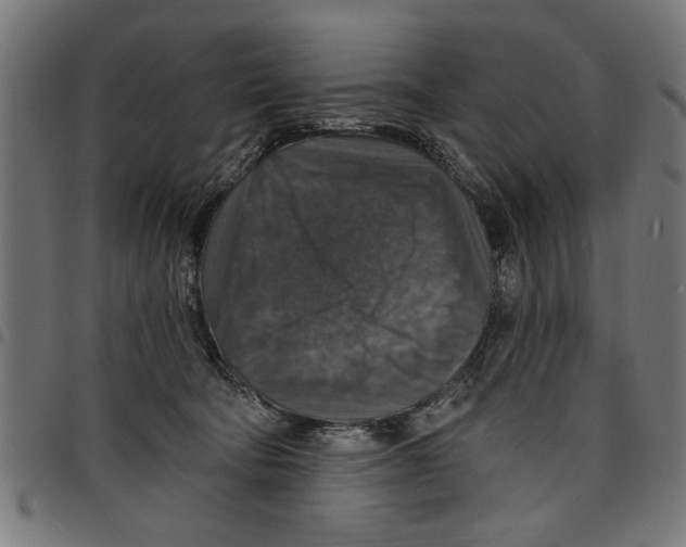 X0000097670322200803281018