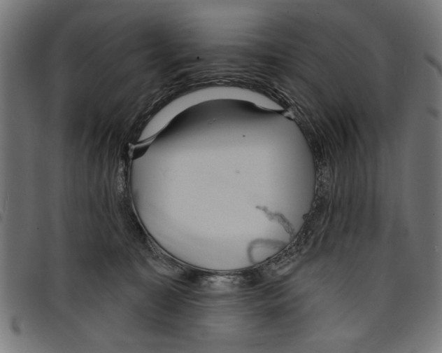 X0000097670323200803281018